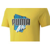 Camiseta Puma Summer Graphic Tee,Bamboo
