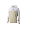 Sudadera Puma ESS+ Block Hoodie TR 847428-02