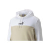 Sudadera Puma ESS+ Block Hoodie TR 847428-02