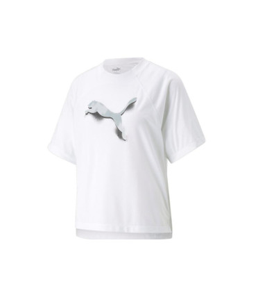 Camiseta Puma Modern Sports Oversized Tee 673096