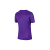 Camiseta Nike Park VII