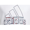 Camiseta ADIDAS Dynamic Sport Graphic