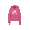 Sudadera Adidas Future Icons Badge of Sport