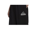 Pantalón Adidas Essentials Outline Logo HC9176