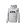 Sudadera juvenil con capucha Puma Essentials+ Two-Tone Big Logo